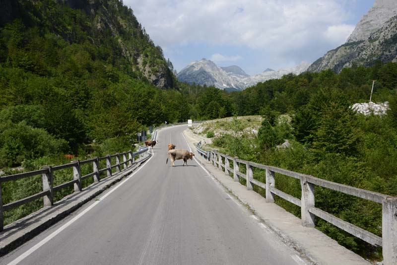 Valbona