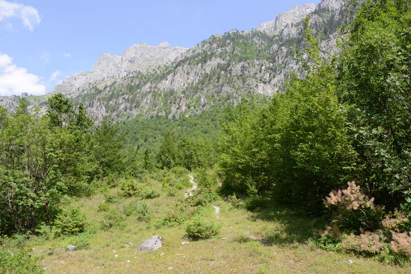 Valbona