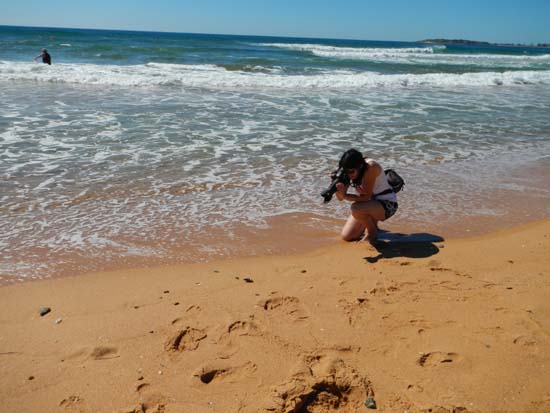 Narabeen Beach