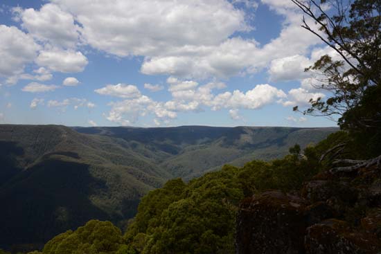 Barrington Tops NP