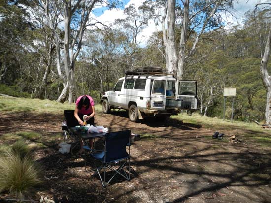 Barrington Tops NP