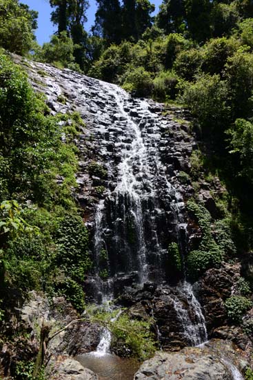 Tristania Falls