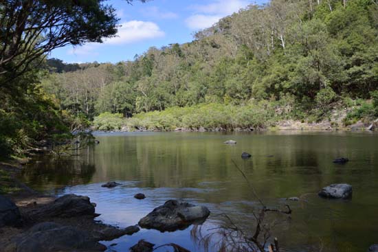 Nymboida River