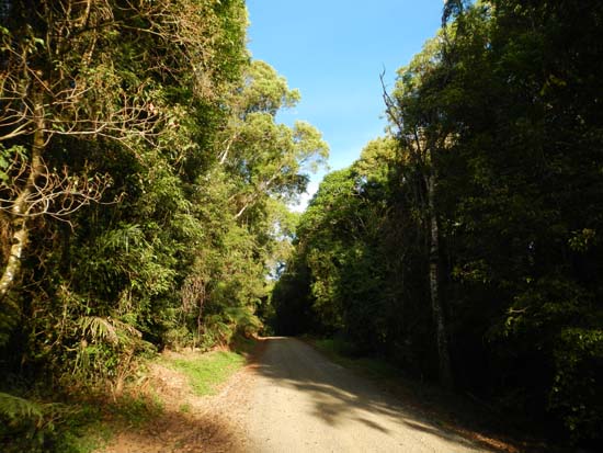 Border Ranges NP