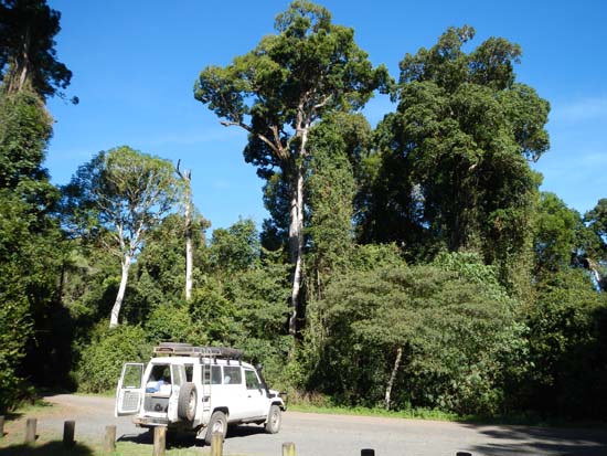 Border Ranges NP