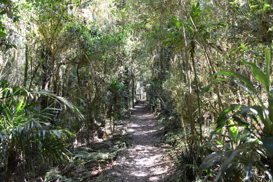 Border Ranges NP