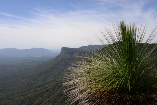 Border Ranges NP