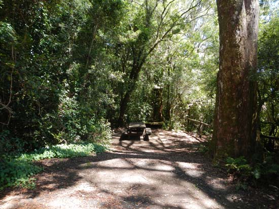 Border Ranges NP