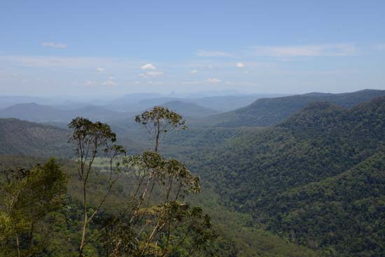 Border Ranges NP