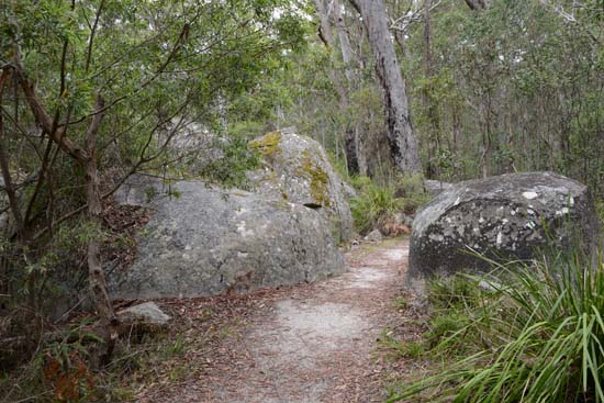 Bald Rock NP