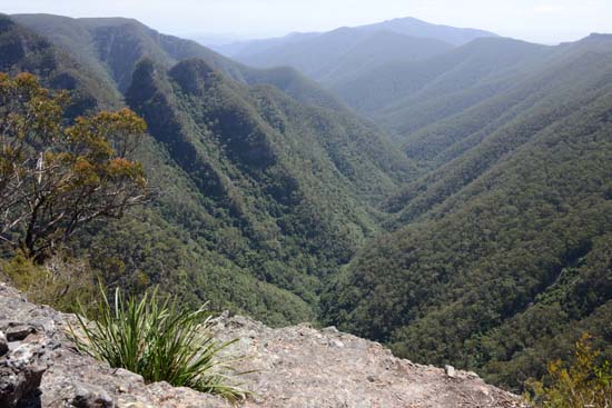 Kanangra-Boyd NP