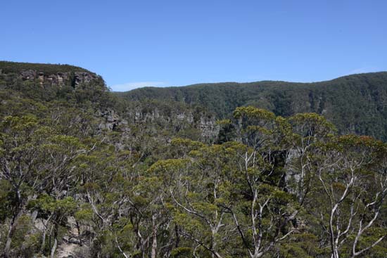 Kanangra-Boyd NP