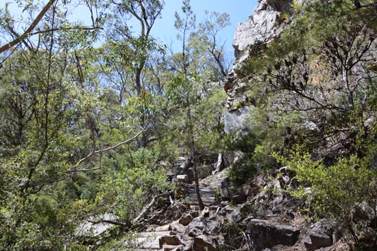 Kanangra-Boyd NP