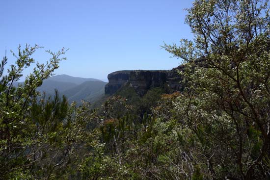 Kanangra-Boyd NP