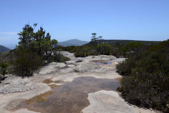 Kanangra Plateau