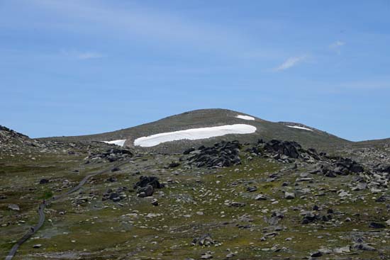 Mt. Kosciuszko