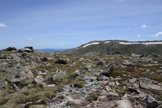 Kosciuszko NP