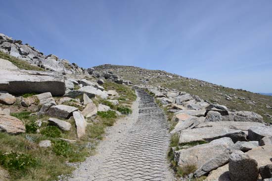 Mt. Kosciuszko