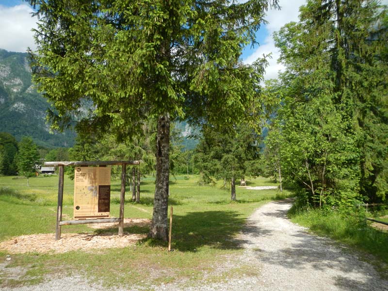 Bohinj