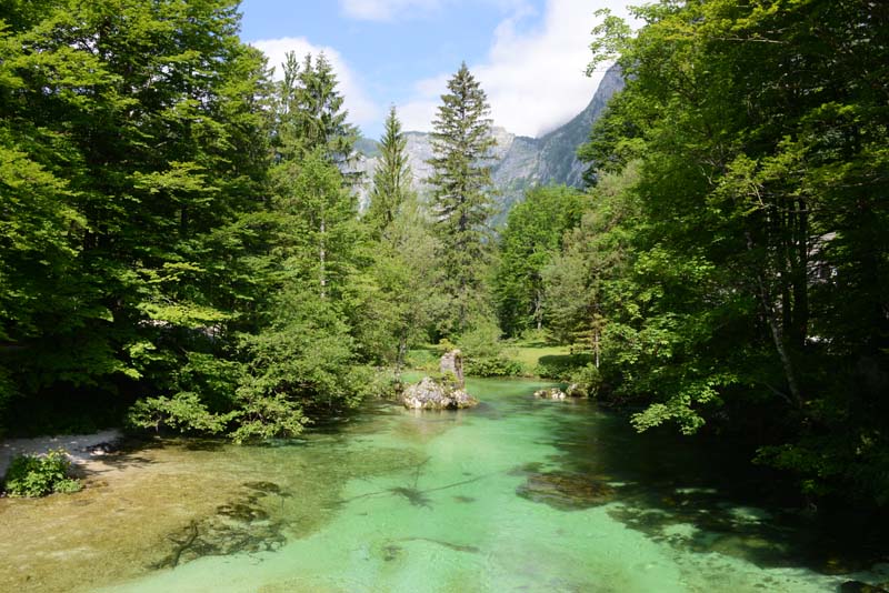 Sava Bohinjka