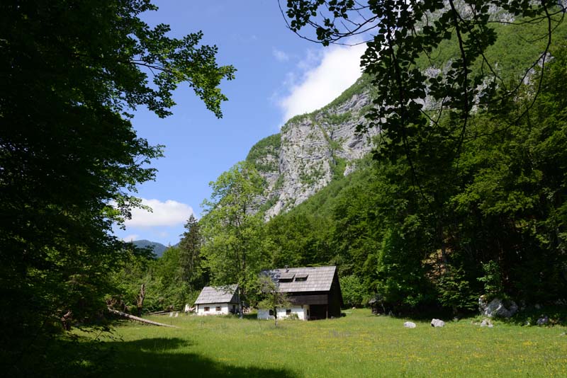 Bohinj