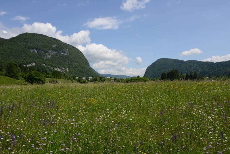Bohinj