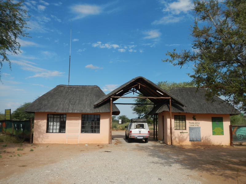 Thakadu Bush Camp, Ghanzi