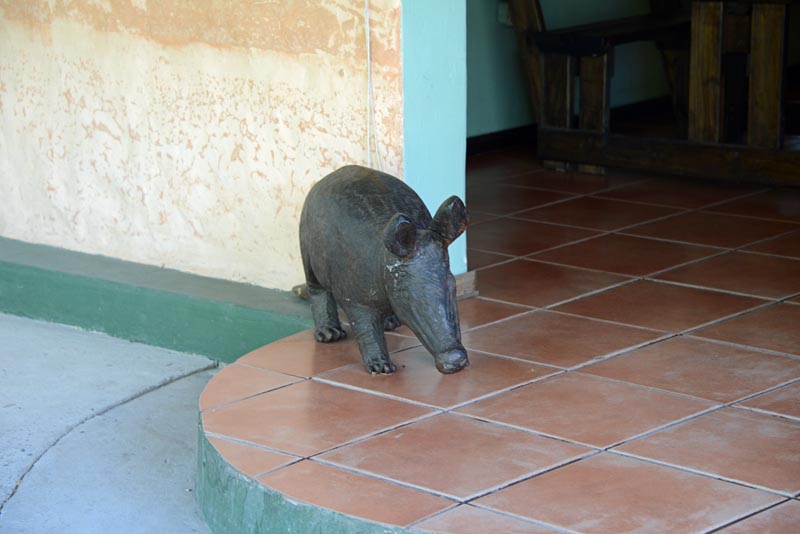 Thakadu Bush Camp, Ghanzi