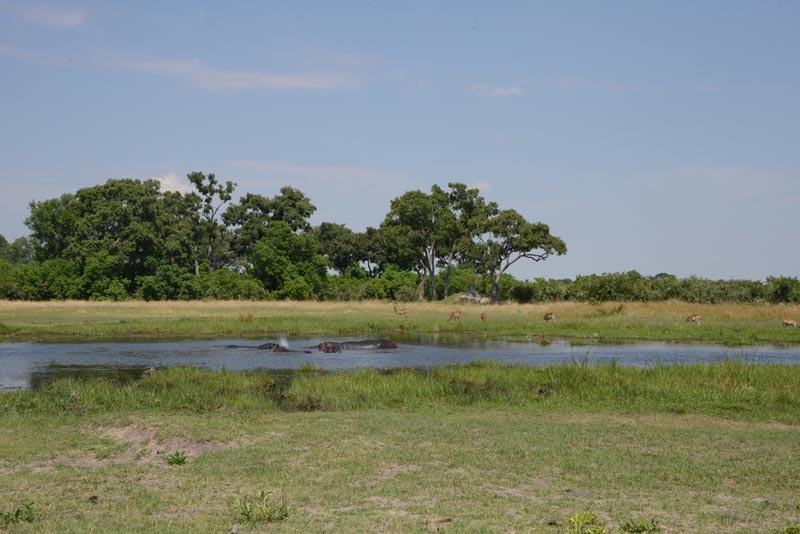 Khwai River