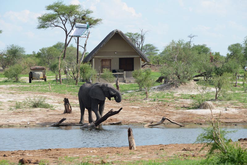 Elephant Sands