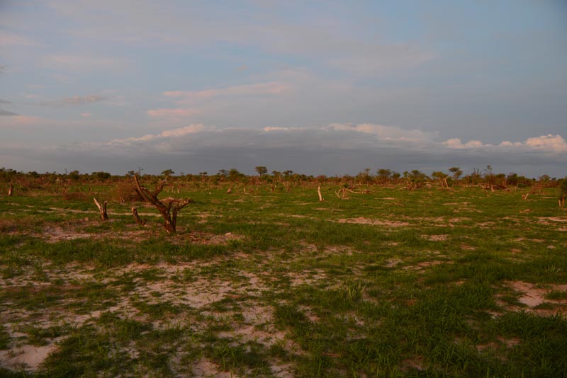 Elephant Sands