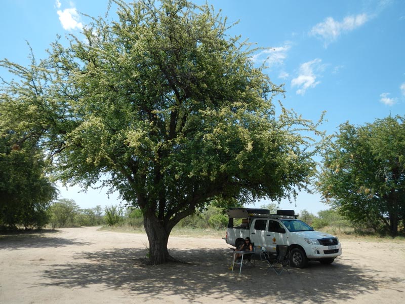 Sunday Pan Campsite CKSUN04