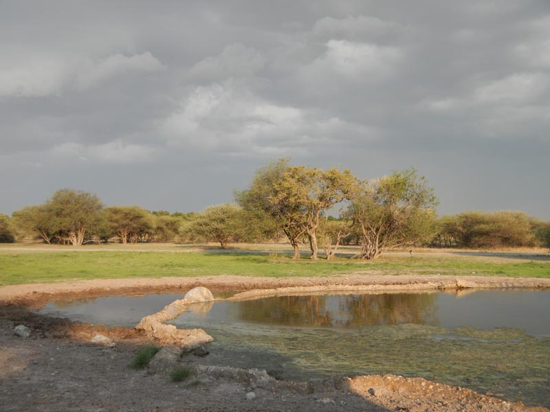 Sunday Pan Waterhole