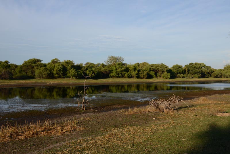 Thamalakane River