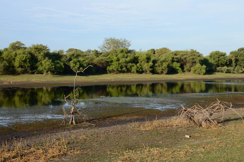 Thamalakane River