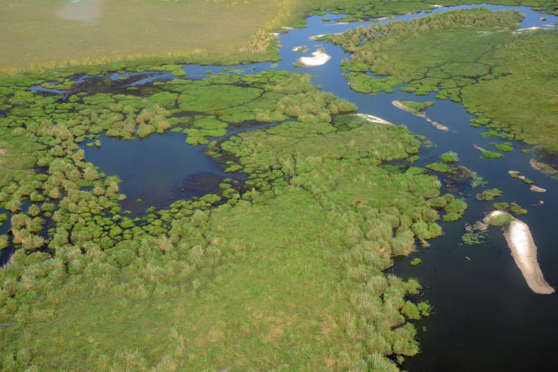 Okavango Delta