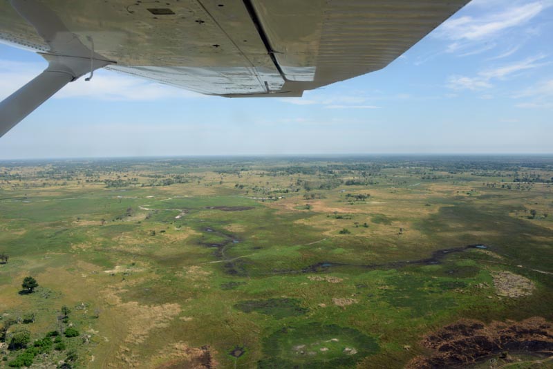 Okavango Delta