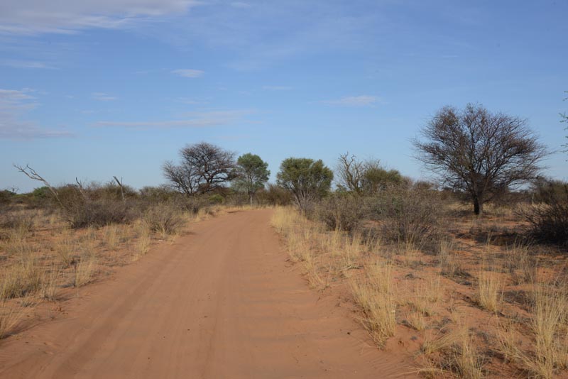 Nossob-Mabuasehube Through Road