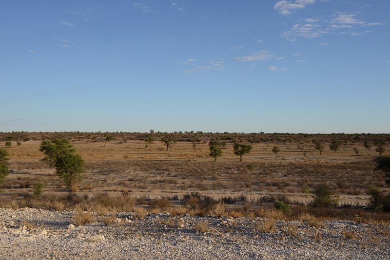 Nossob Valley