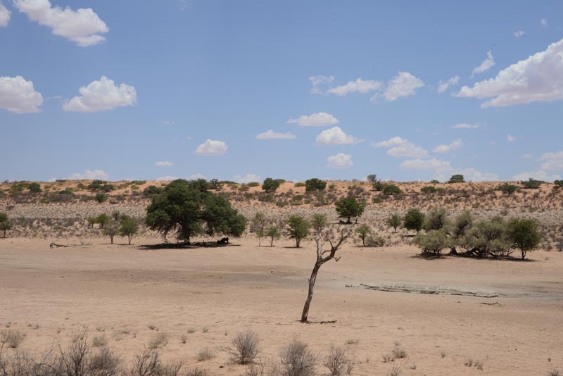 Urikaruus Wilderness Camp