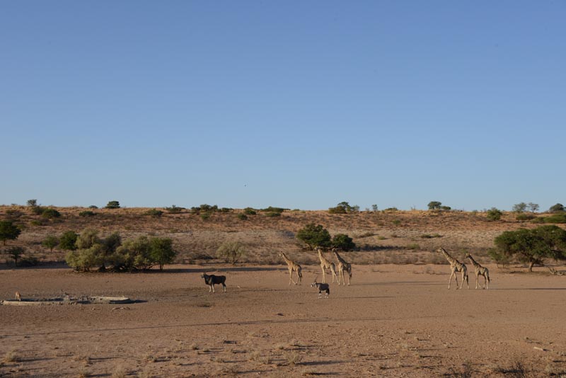 Urikaruus Waterhole