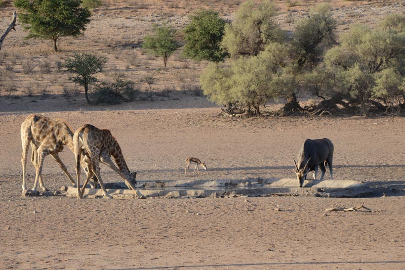 Urikaruus Waterhole