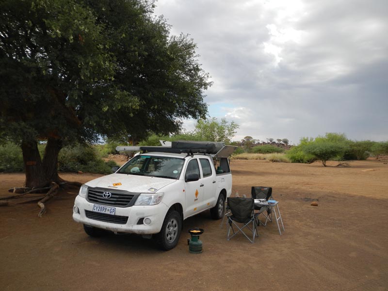 Mesosaurus Camp