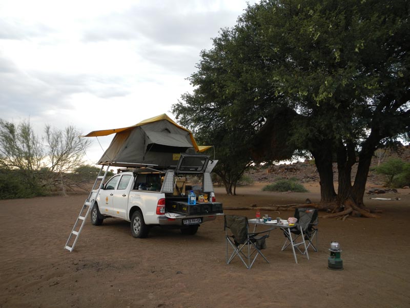 Mesosaurus Camp