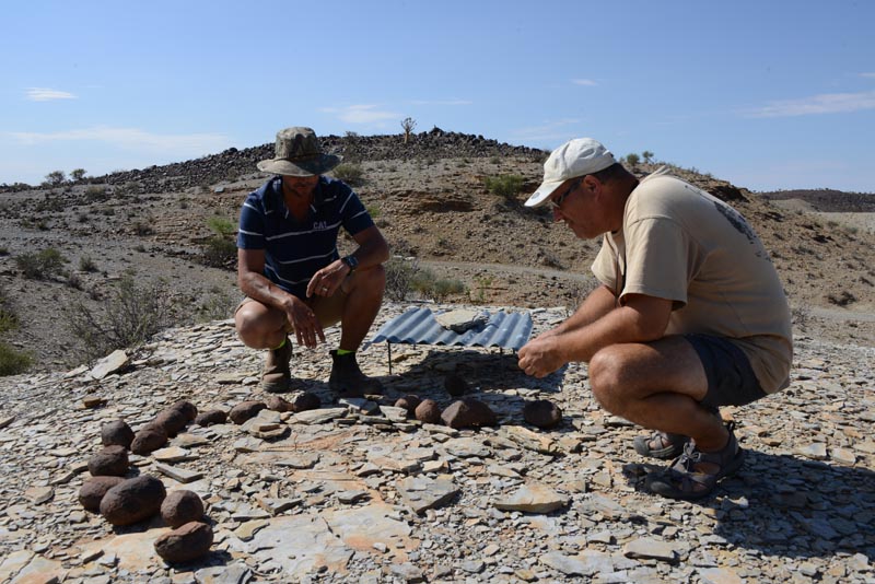 Mesosaurus Camp