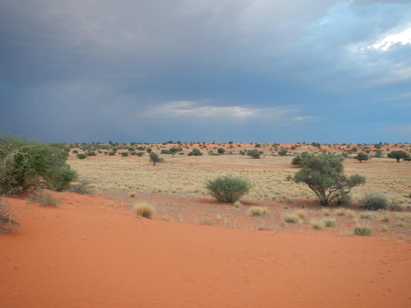 Bagatelle Kalahari Game Ranch