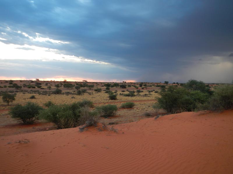 Bagatelle Kalahari Game Ranch