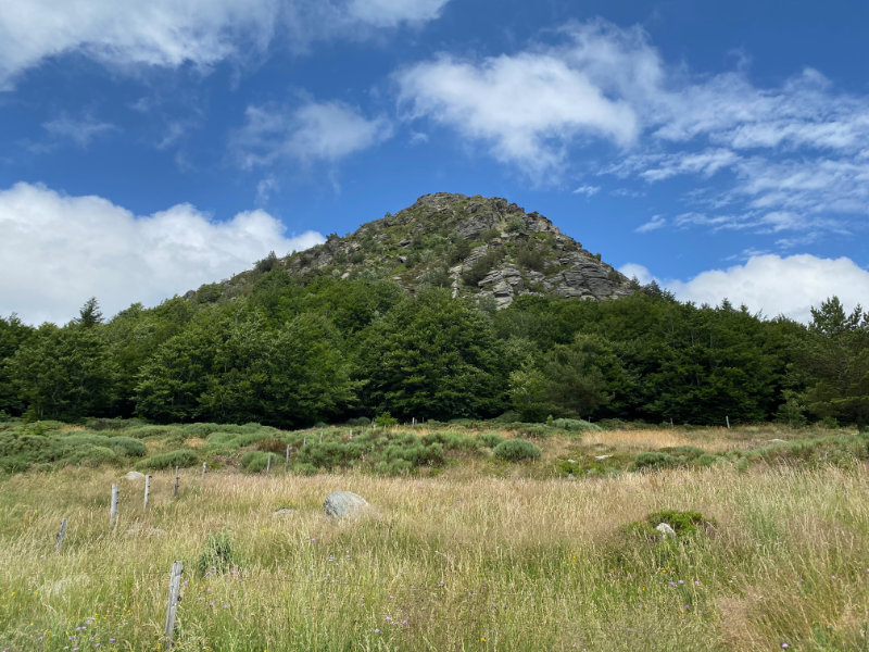 Mont Gerbier de Jonc