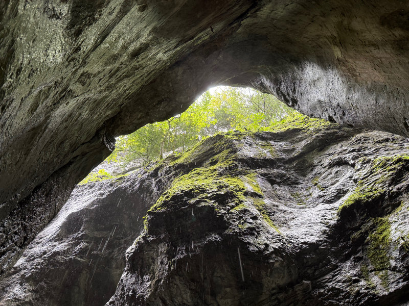 Aareschlucht