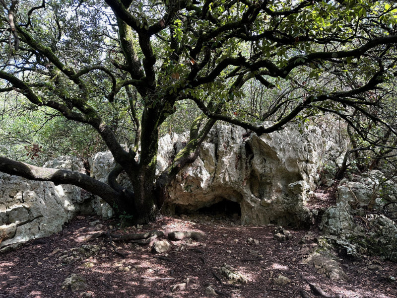 Vallon-Pont-d'Arc